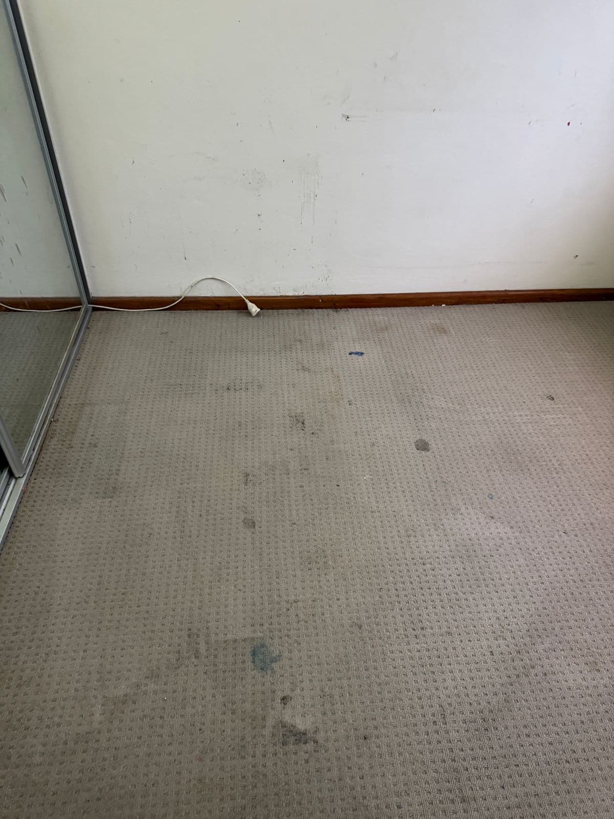 Bedroom Carpet — after cleaning