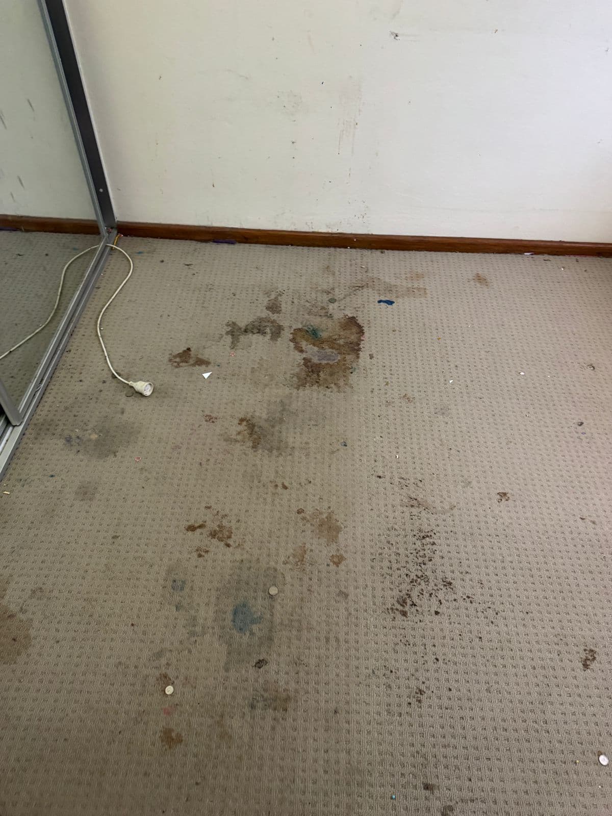 Bedroom Carpet — before cleaning