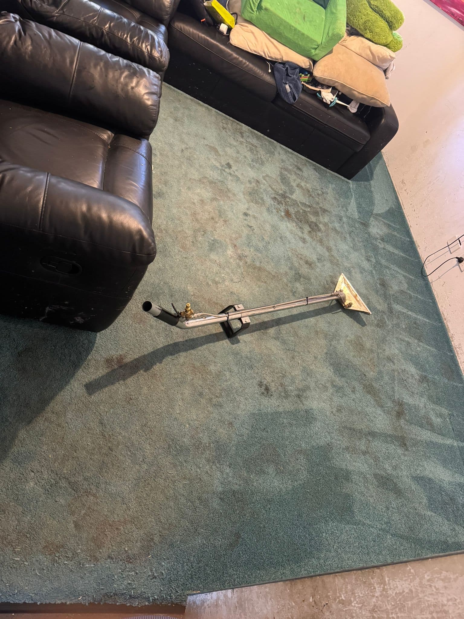 Area Rug — before cleaning