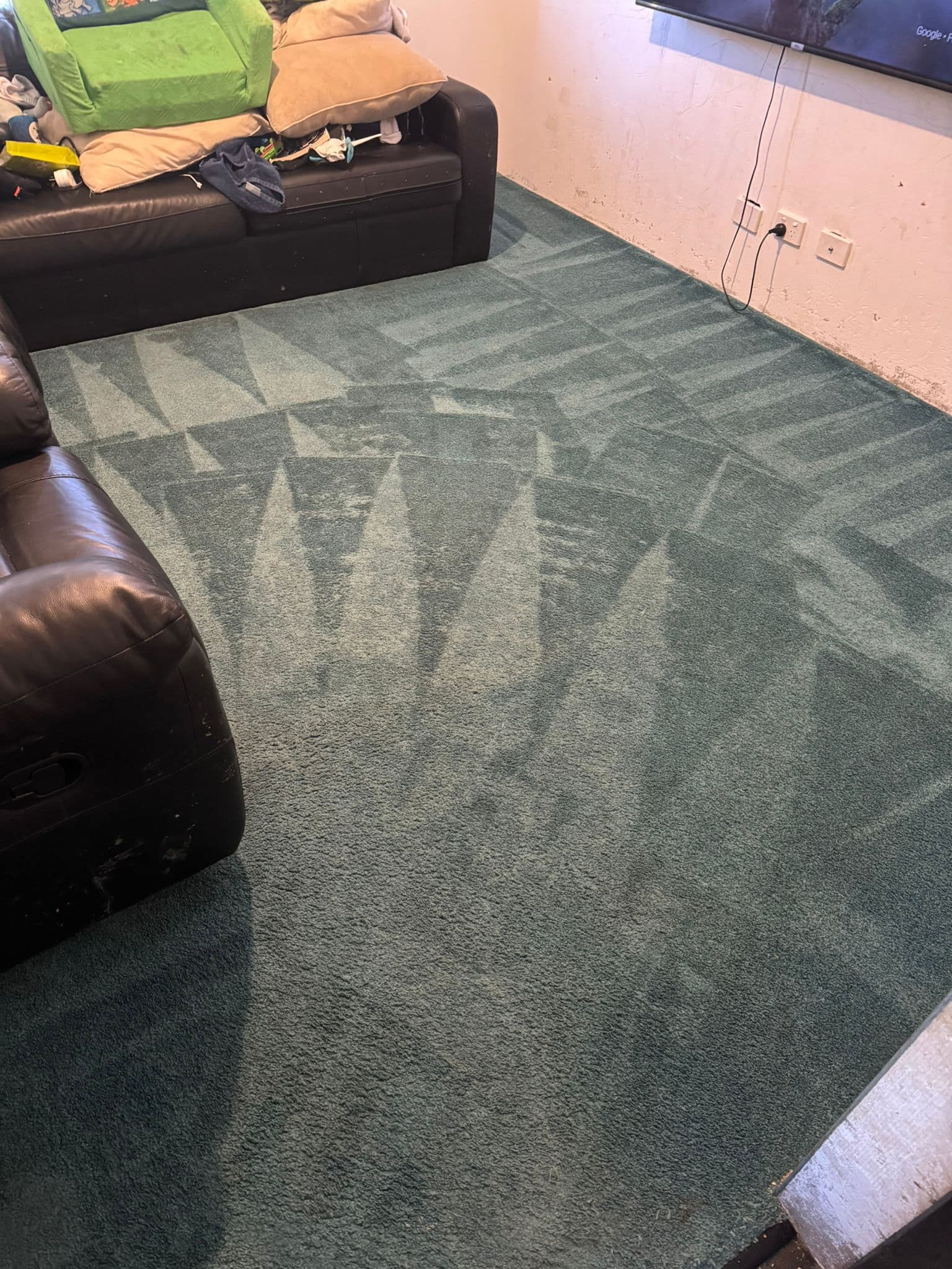 Area Rug — after cleaning